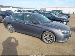 HONDA HONDA ACCORD SPORT