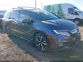 HONDA HONDA ODYSSEY ELITE