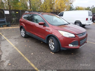 FORD FORD ESCAPE SE