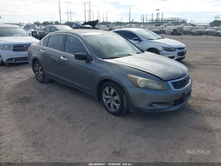 HONDA HONDA ACCORD 3.5 EX-L