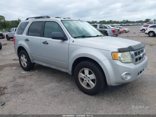 FORD FORD ESCAPE XLT