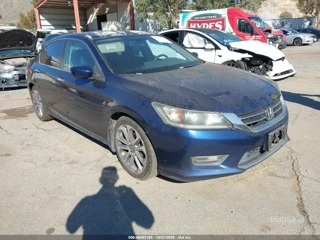HONDA HONDA ACCORD SPORT