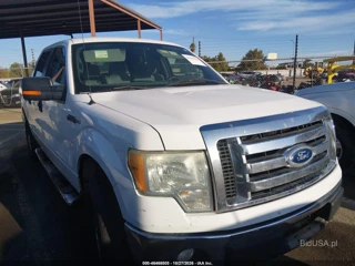FORD FORD F-150 XLT