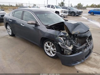 NISSAN NISSAN MAXIMA 3.5 SV