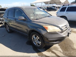 HONDA HONDA CR-V EX-L