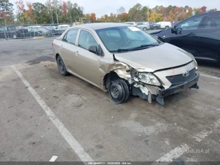 TOYOTA TOYOTA COROLLA