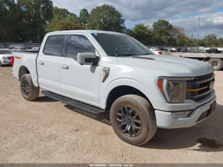 FORD FORD F-150 TREMOR