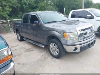 FORD FORD F-150 XLT