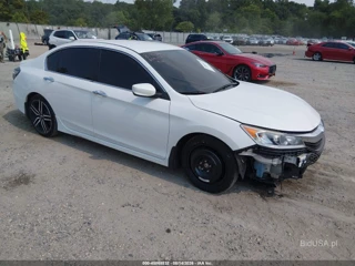 HONDA HONDA ACCORD SPORT SE