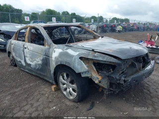 HONDA HONDA ACCORD 2.4 EX-L