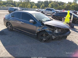 HONDA HONDA ACCORD SPORT