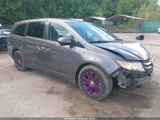 HONDA HONDA ODYSSEY EX