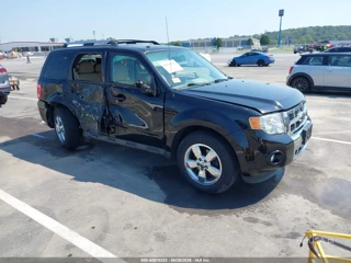 FORD FORD ESCAPE LIMITED