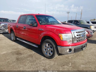 FORD FORD F-150 XLT
