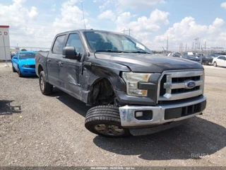 FORD FORD F-150 XLT