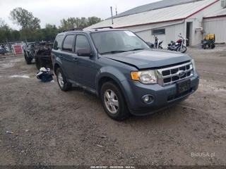 FORD FORD ESCAPE XLT