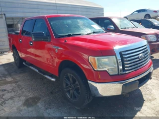 FORD FORD F-150 FX2 SPORT/XL/XLT