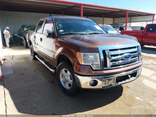 FORD FORD F-150 XLT