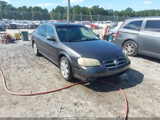 NISSAN NISSAN MAXIMA GLE