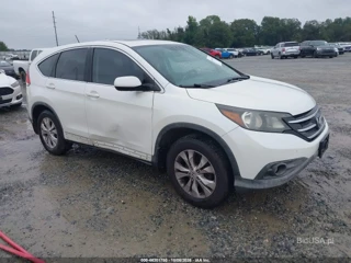 HONDA HONDA CR-V EX