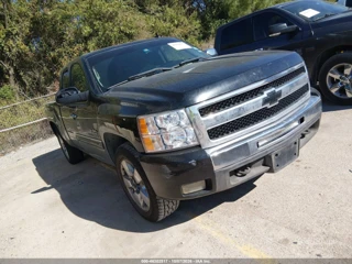 CHEVROLET CHEVROLET SILVERADO 1500 LT