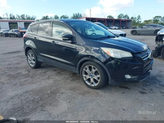 FORD FORD ESCAPE SEL
