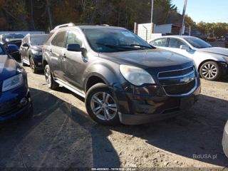 CHEVROLET CHEVROLET EQUINOX 1LT