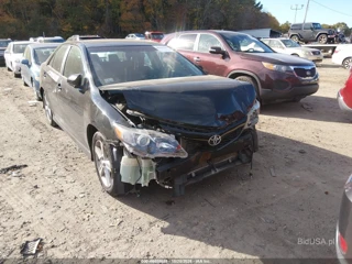 TOYOTA TOYOTA CAMRY SE