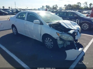 TOYOTA TOYOTA COROLLA LE
