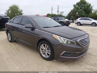 HYUNDAI HYUNDAI SONATA SE