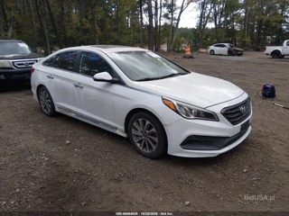 HYUNDAI HYUNDAI SONATA SPORT