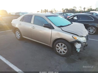 TOYOTA TOYOTA COROLLA