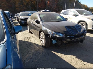 HONDA HONDA ACCORD EX-L V-6