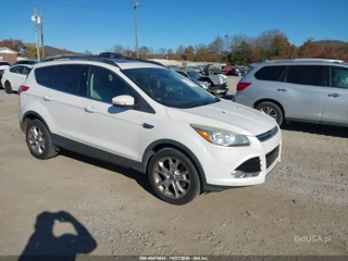 FORD FORD ESCAPE SEL