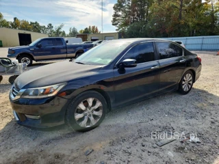 HONDA ACCORD EXL