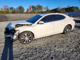 ACURA TLX TECH