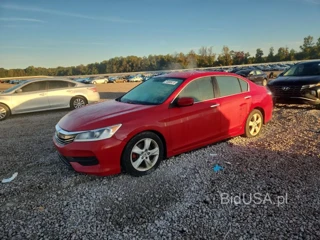 HONDA ACCORD SPORT SPECIAL EDITION