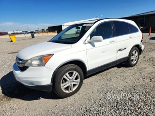 HONDA CR-V EXL