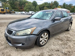 HONDA ACCORD EXL