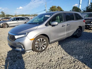 HONDA ODYSSEY EXL