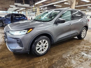 FORD ESCAPE ACTIVE