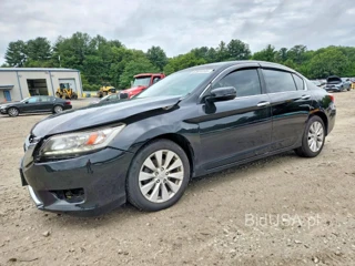 HONDA ACCORD TOURING