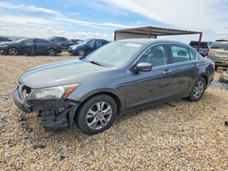 HONDA ACCORD LXP