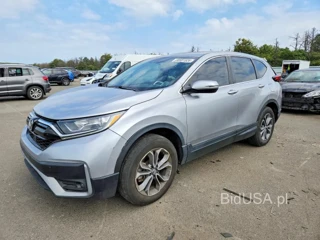 HONDA CR-V EX