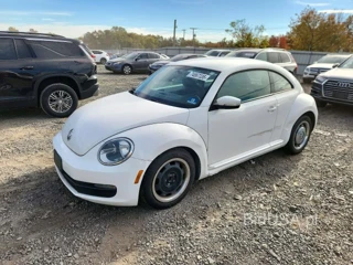 VOLKSWAGEN BEETLE