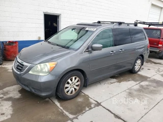 HONDA ODYSSEY EXL