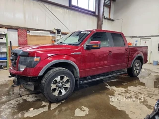 FORD F-150 FX4