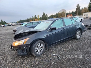HONDA ACCORD SE