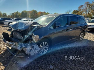 HONDA ODYSSEY EX
