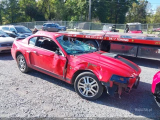FORD FORD MUSTANG